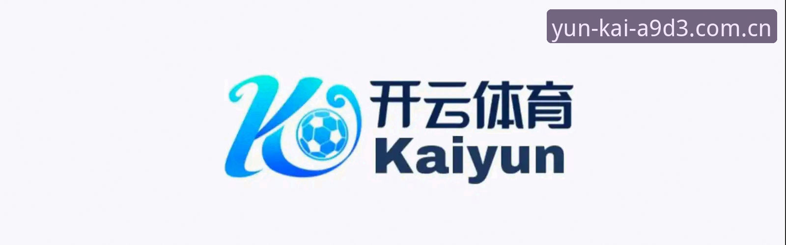 2026云开官方网站下载 vs 普通体育平台：专业用户深度对比分析